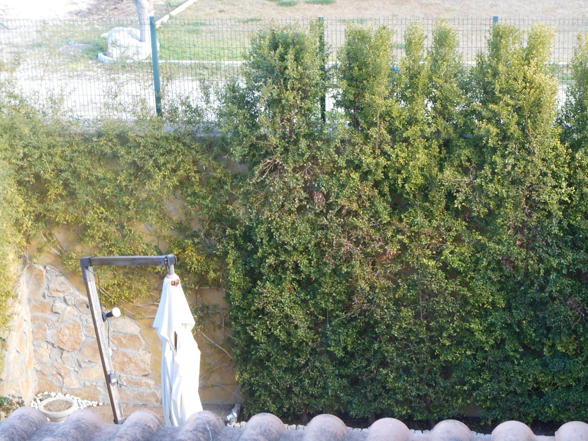 Bed & Breakfast Giardini Di Marzo เลชเช ภายนอก รูปภาพ