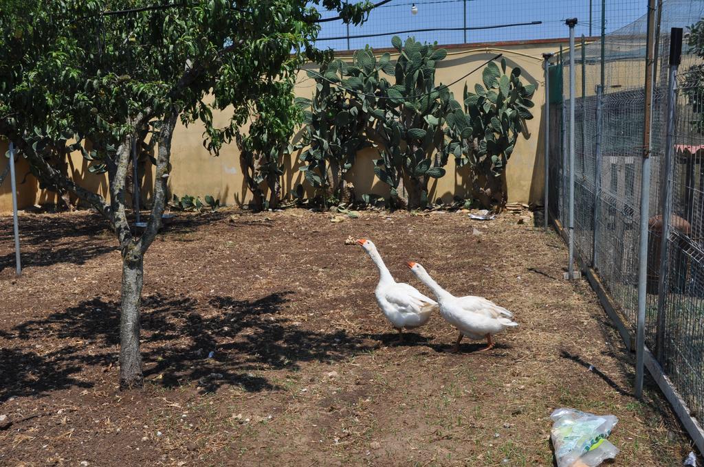 Bed & Breakfast Giardini Di Marzo เลชเช ภายนอก รูปภาพ
